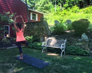 Vrksasana - tree pose