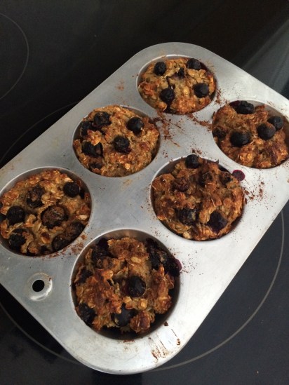 Blueberry Vanilla Protein Muffins