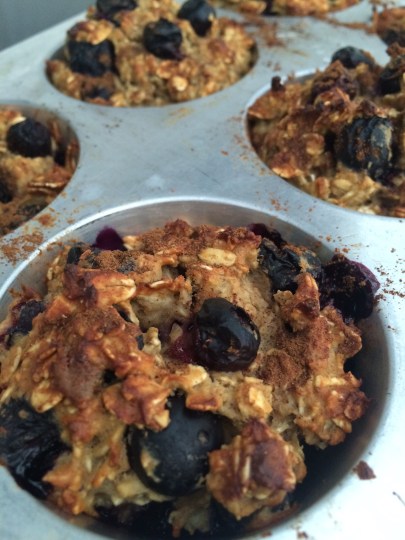 Blueberry Vanilla Protein Muffins