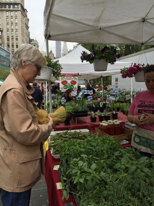 union square green market